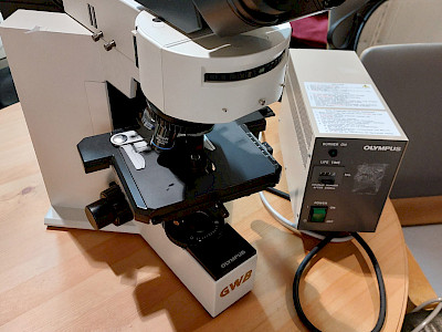 Mikroskooppi